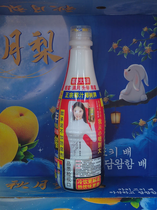 椰树牌椰汁/COCONUT MILK