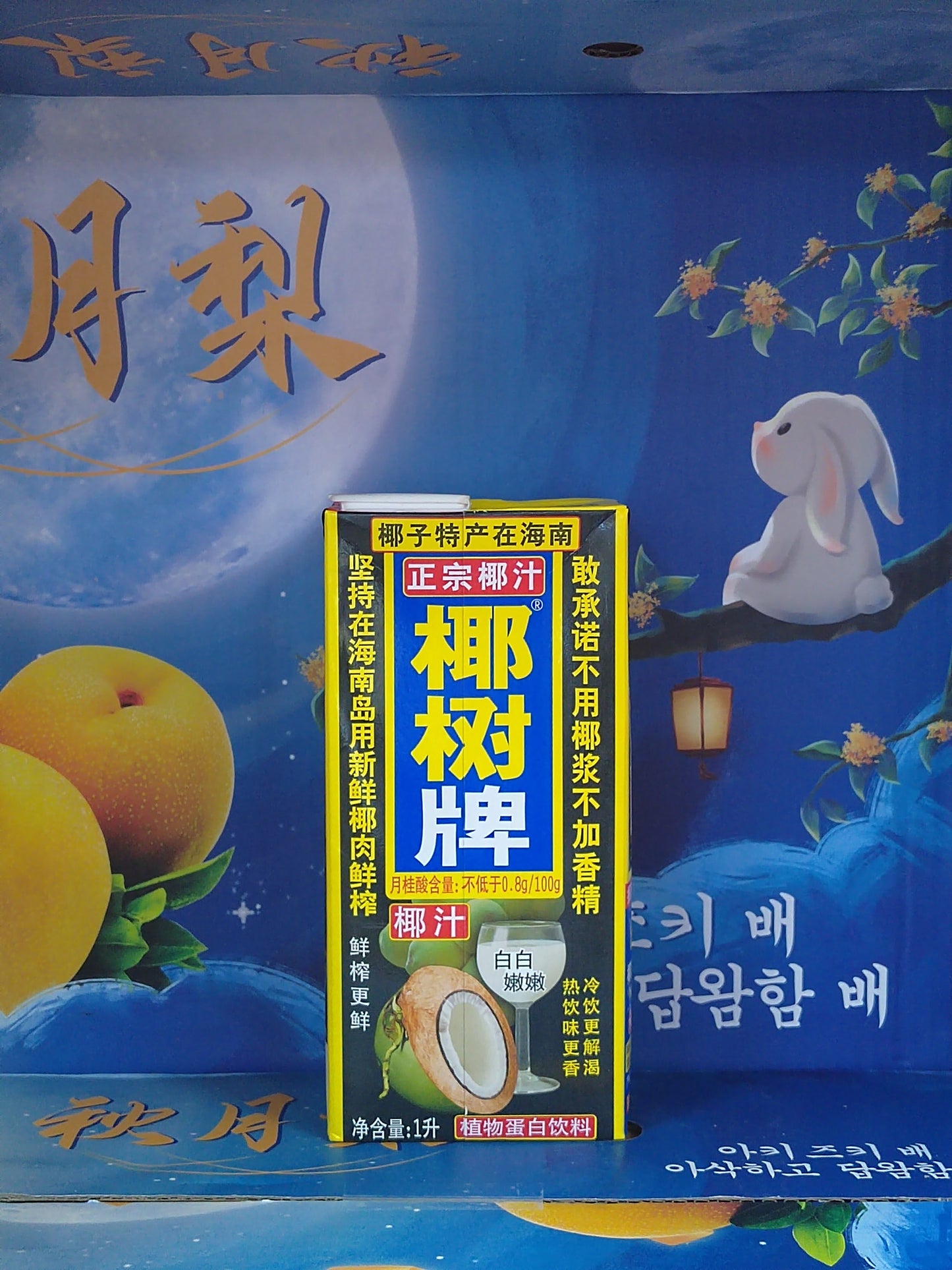 椰树牌椰汁/COCONUT MILK