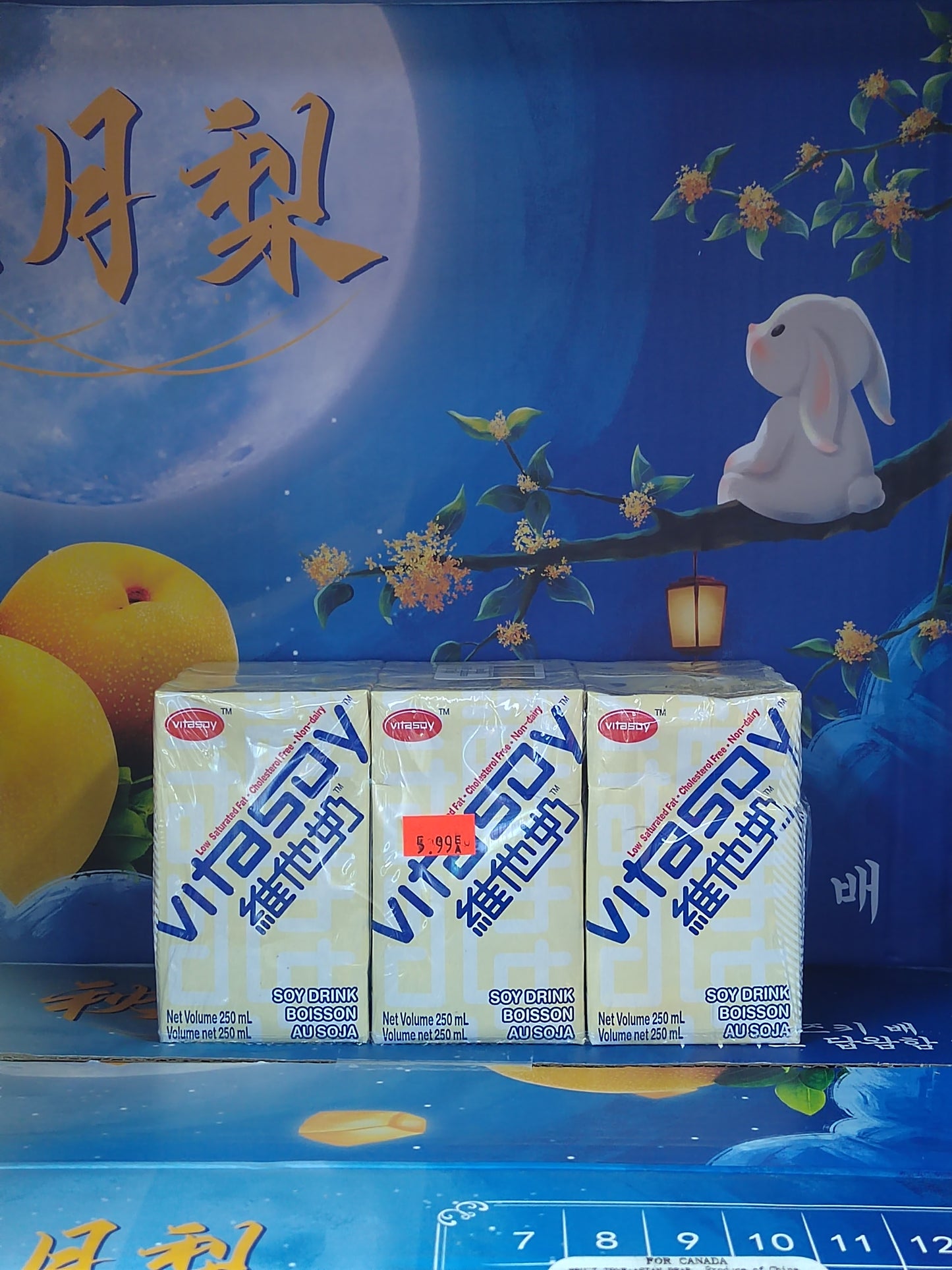 维他奶饮料/VITA